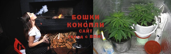 дурь Ельня