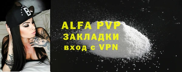 стаф Елизово