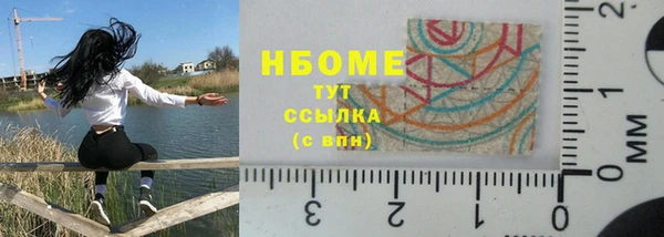 стаф Елизово