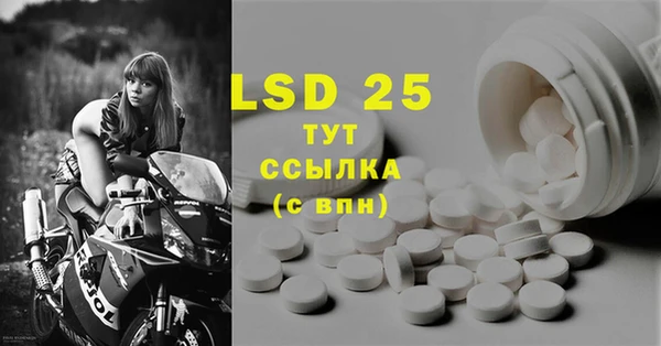 дурь Ельня