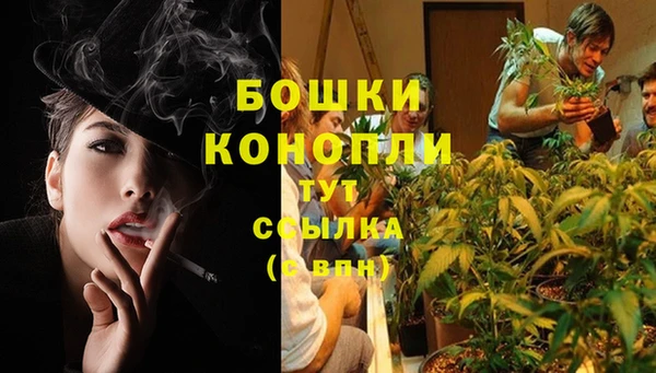стаф Елизово
