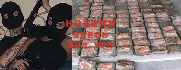 дурь Ельня