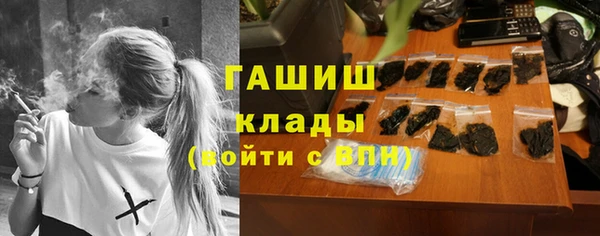 стаф Елизово