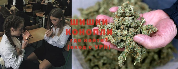 стаф Елизово