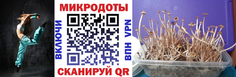 Галлюциногенные грибы Magic Shrooms  Купить где  Темников 